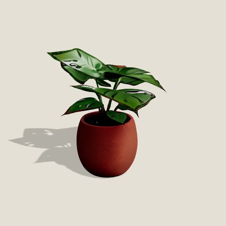 A 3D model of a small monstera in a terracotta pot, turning on a stand