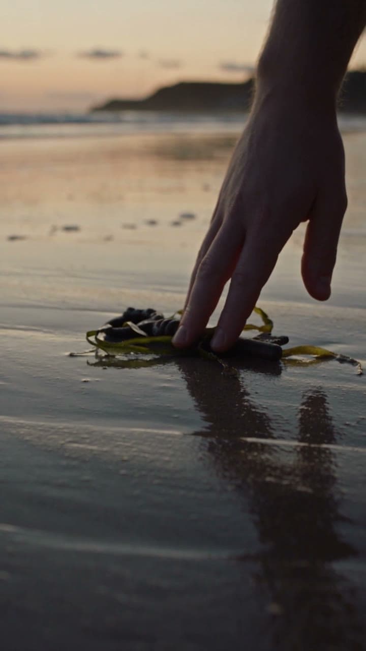 what the tide leaves, literary, a real run on Leap