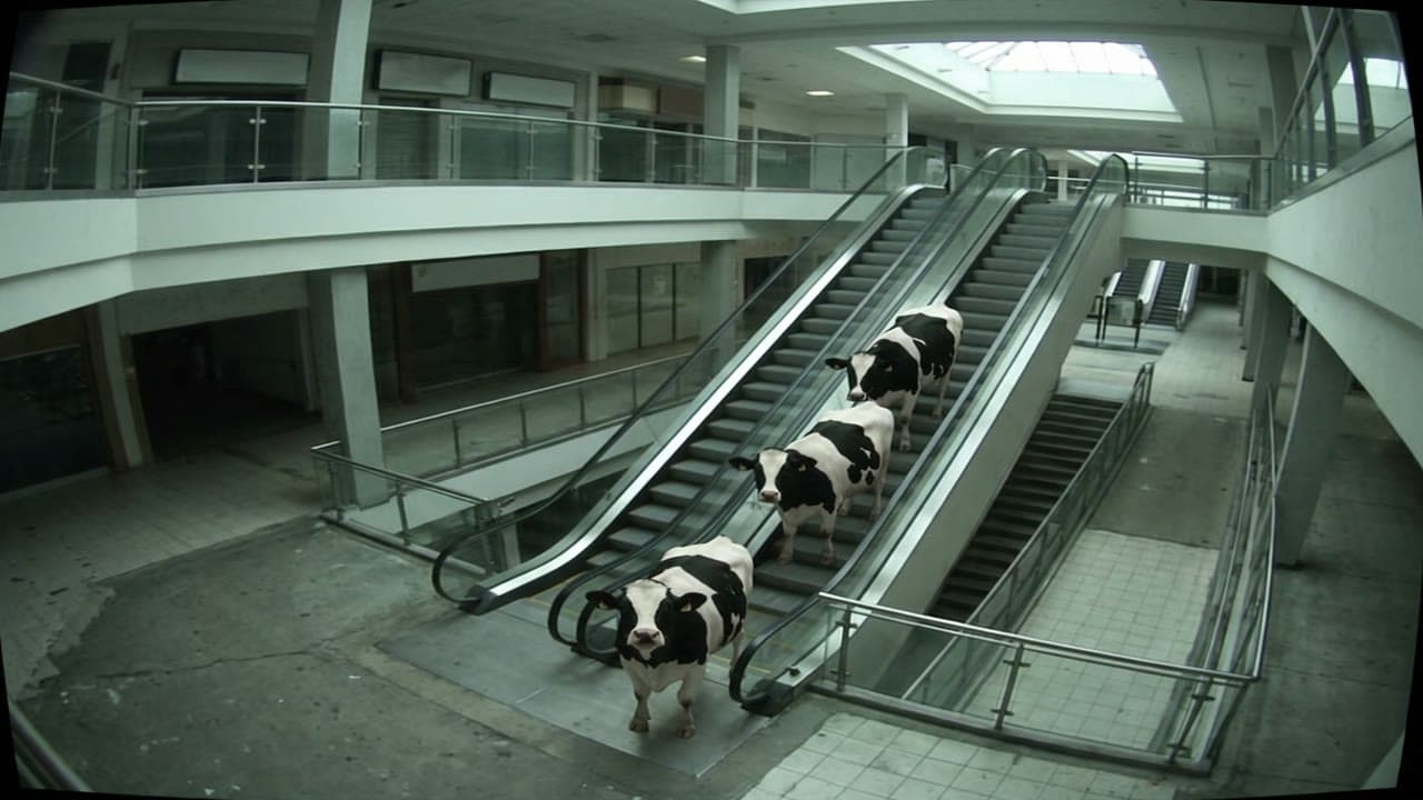 Three cows on a mall escalator, on a security camera, a real run on Leap