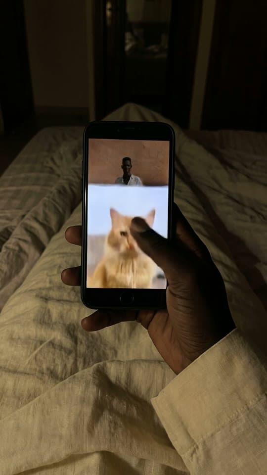Posing in linen, scrolled past for a cat, a real run on Leap