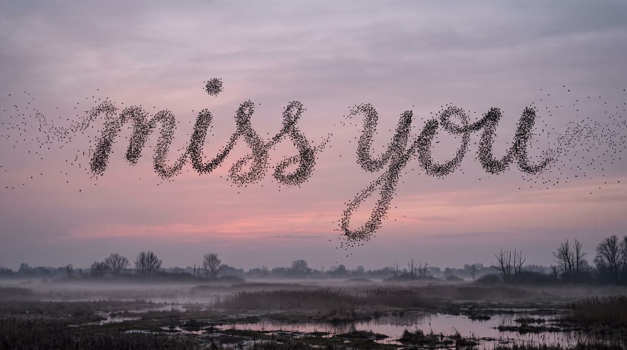miss you in a murmuration, a real run on Leap