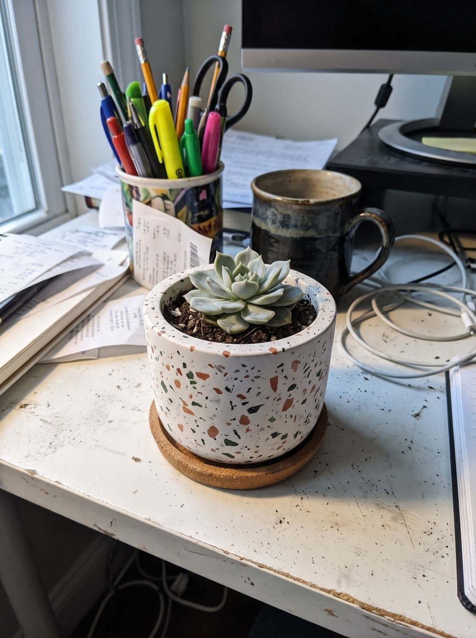 The photo why terrazzo: a planter comparison started from